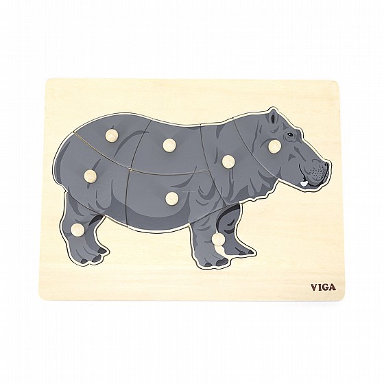 ���� ����� ����� �������� VIGA ��� �������� 