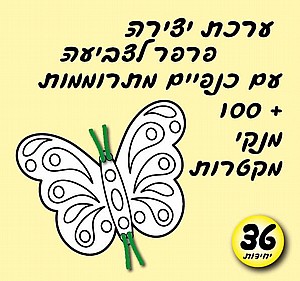 ����� ����+ ���� ������