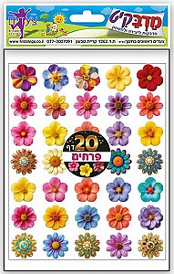 ������ ����� 20 ��